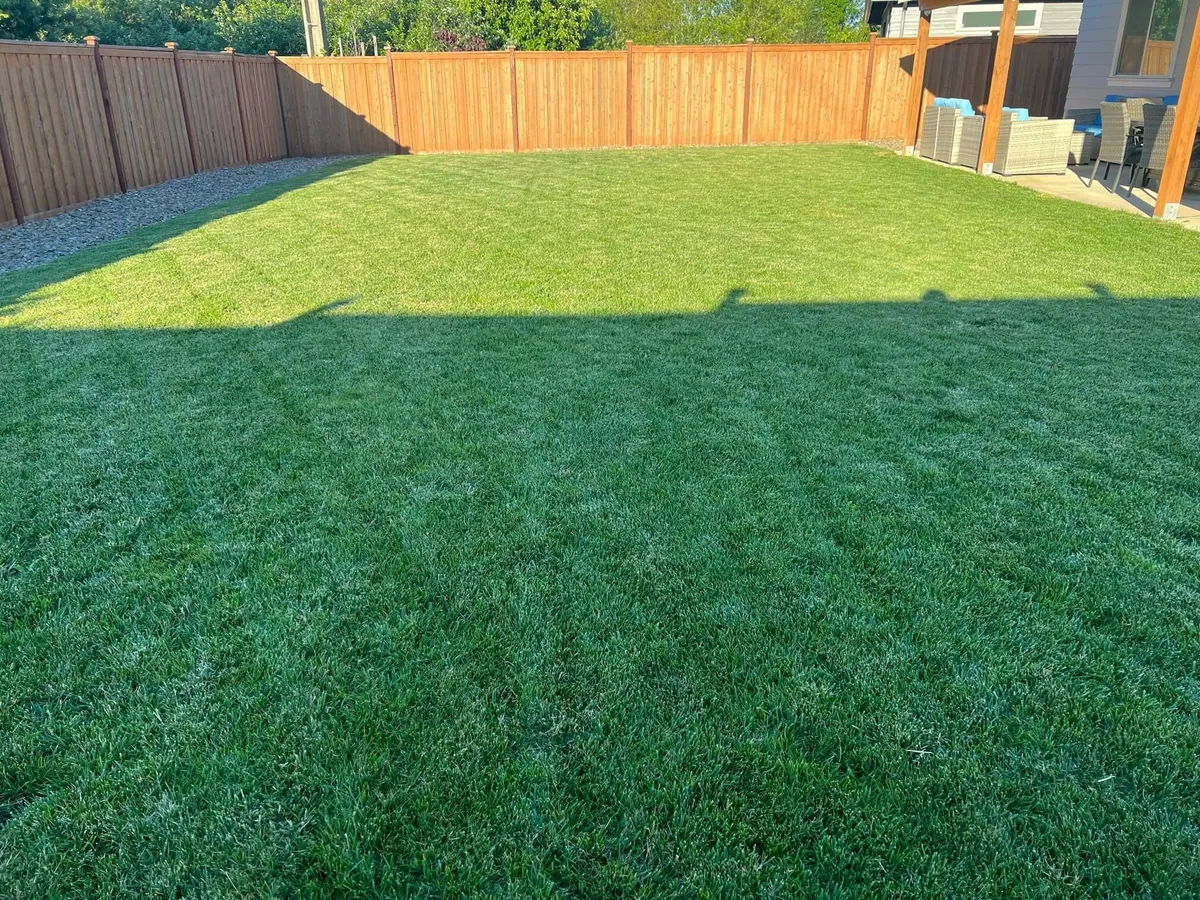 A lush backyard scene with green grass, wooden fence, and patio furniture, suggesting ample space for outdoor activities or team relaxation. The area feels cheerful and open, perfect for group gatherings or moments of solitude.